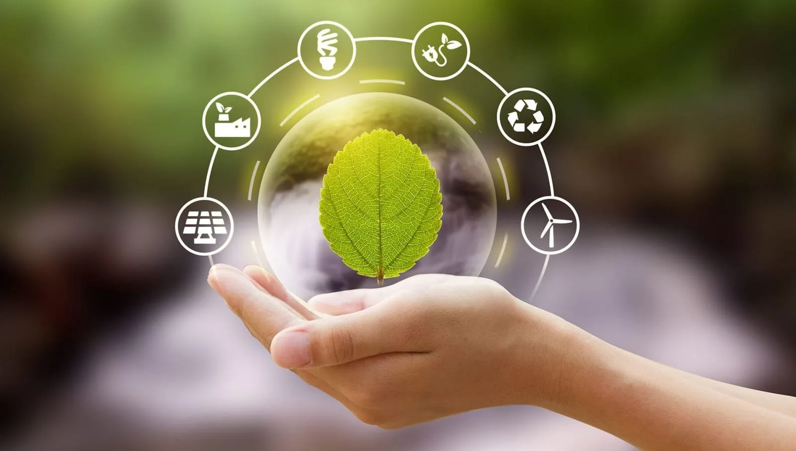 Feuille dans une main entourée de pictogrammes d'énergie durable